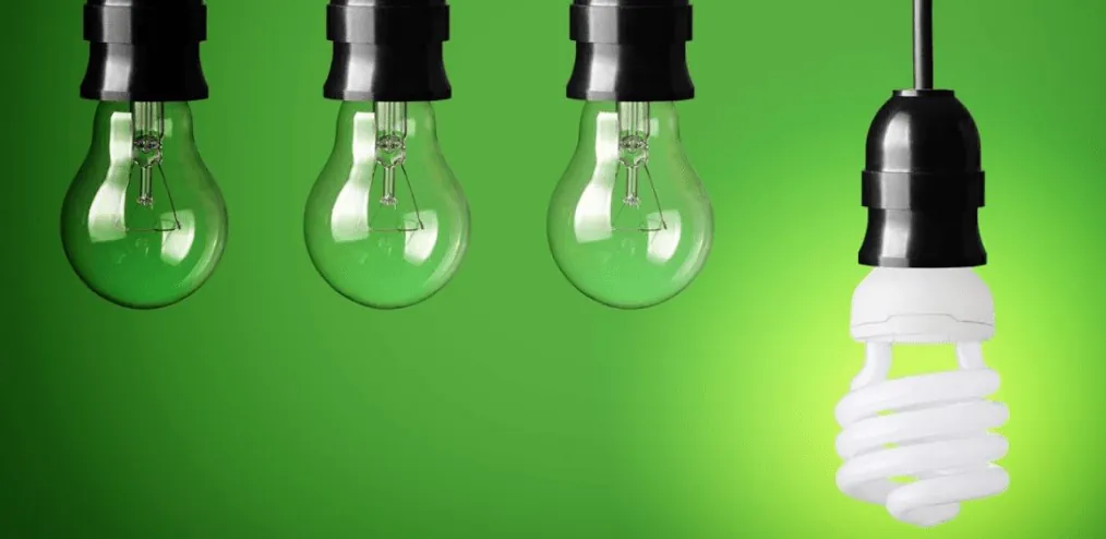 led bulbs