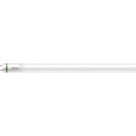 Philips MASTER LED Tube T8 (EM/Mains) Ultra Efficiency 11.9W 2500lm - 865 Dagsljus | 120cm - Ersättare 36W