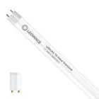 Ledvance LED Rör T8 Value (EM/Mains) Standard Output 11.6W 1400lm - 865 Dagsljus | 105cm - Ersättare 38W